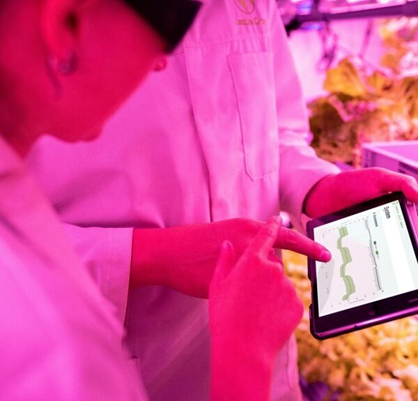 Maximize Your Growth 7132581606 Digital Tools